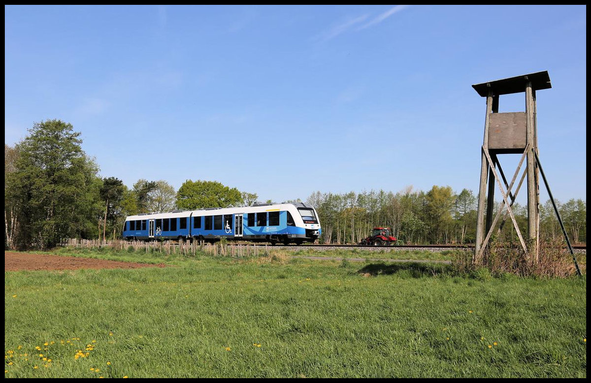 Kurz vor Nordhorn ist hier im ländlichen Umfeld der VT 115 der Bentheimer Eisenbahn am 24.04.2020 um 10.18 Uhr auf dem Weg nach Neuenhaus.
