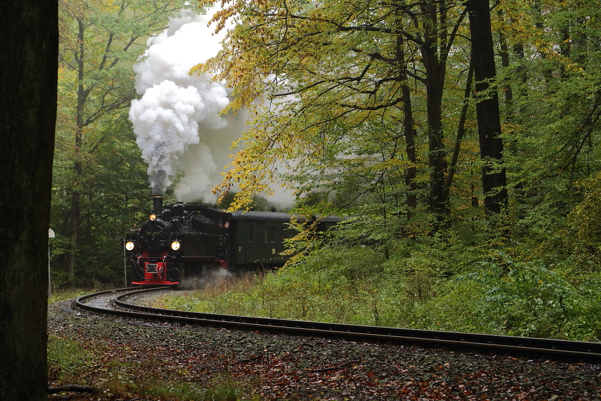 Kurz vor Sternhaus-Ramberg gab es am 23.10., dem  letzten Tag der dreitägigen Herbstveranstaltung der IG HSB im Jahr 2016, die erste Scheinanfahrt von 99 5901 mit einem Sonderzug des Vereins. Hier legt sie sich gerade mit Volldampf in die Kurve, begleitet von weit durch den umgebenden Wald schallenden Auspuffschlägen.