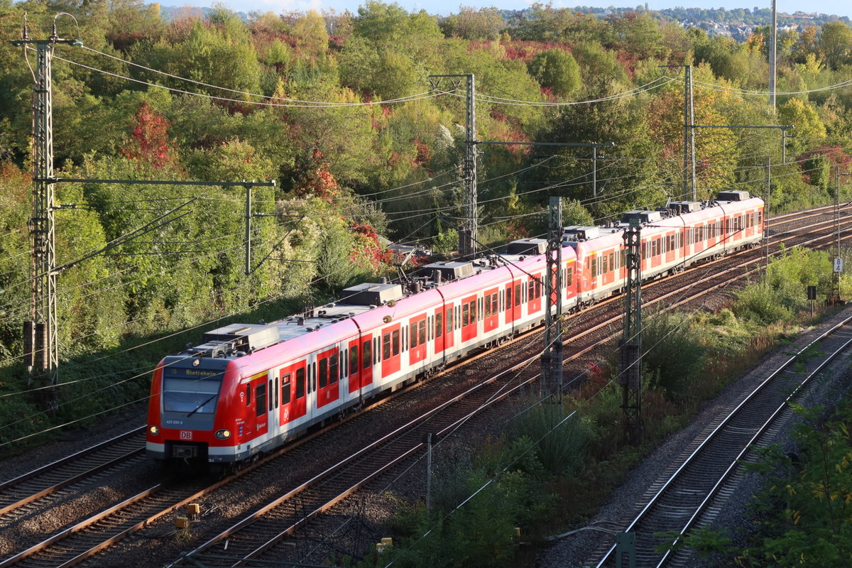 Kurz zeigt sich am späten Nachmittag die Sonne, als Triebzug 423 030-6 der Stuttgarter S-Bahn unterwegs ist zwischen S-Zuffenhausen und Kornwestheim mit Fahrtziel Bietigheim (06.10.2020).   