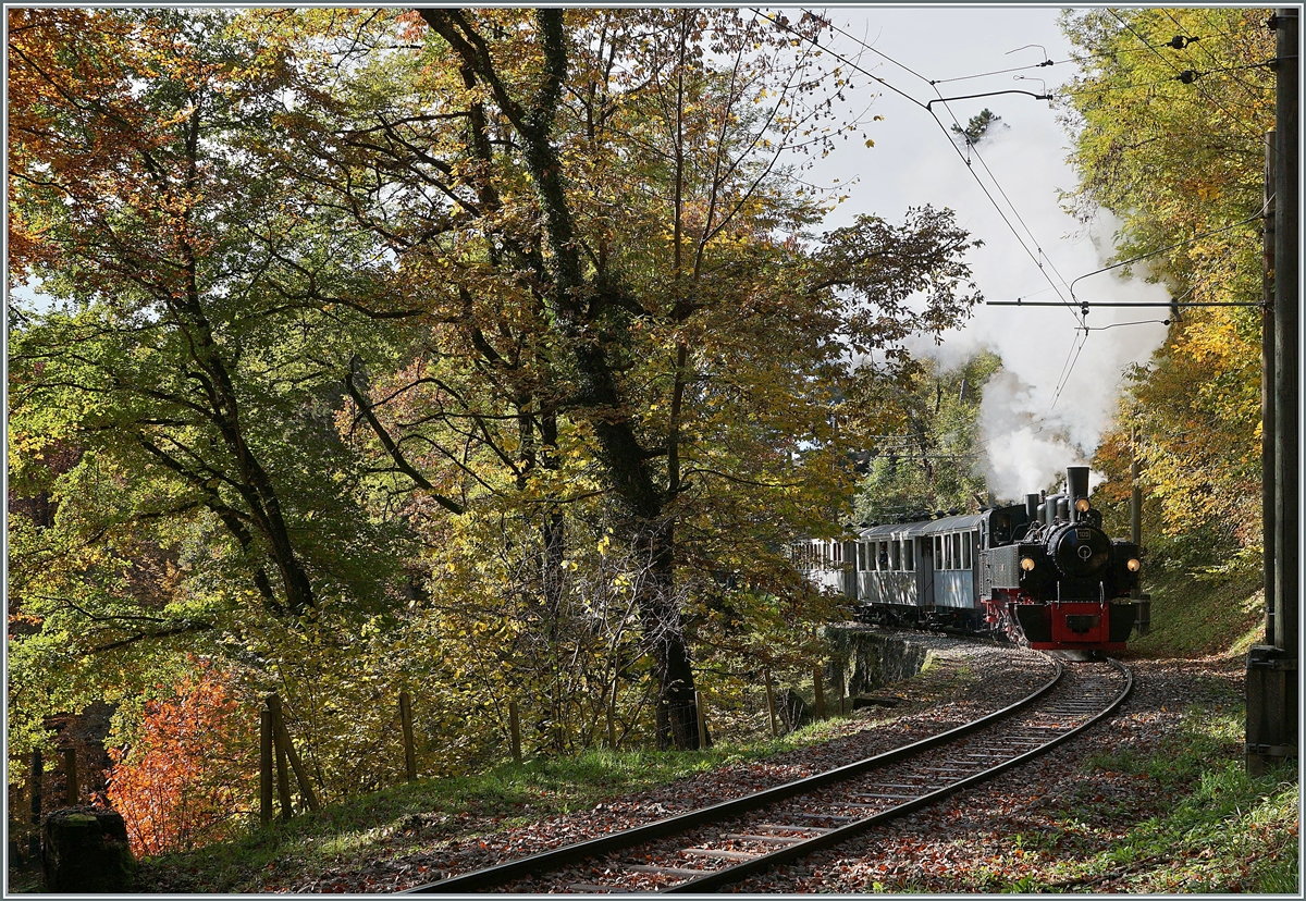  LA DER 2020 du Blonay-Chamby  / Saison Abschluss der Blonay-Chamby Bahn: Mit einem verstärkten Fahrplan und viel Dampf wird vor dem  Winterschlaf  (bzw. Arbeit im Dépôt Chaulin) nochmals viel Betrieb gemacht. 

Die erfreulich vielen Züge boten auch die Gelegenheit, neben den  klassischen  Fotostellen auch andere Fotostellen aufzusuchen und die Blonay-Chamby Bahn aus einem neuen Blickfeld aufzunehmen, wobei mir diese Bild voller Nieten ganz besonders gefällt. Die G 2x 2/2 105 ist mit ihrem Dampfzug nach Chaulin kurz nach Chantemerle im Wald oberhalb von Blonay im Gegenlicht unterwegs und das Sonnenlicht steift jede einzelne Niete auf der Talseite der Lok. 

25. Okt. 2020