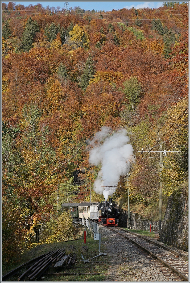  LA DER 2020 du Blonay-Chamby  / Saison Abschluss der Blonay-Chamby Bahn: Mit einem verstärkten Fahrplan und viel Dampf wird vor dem  Winterschlaf  (bzw. Arbeit im DépÔt Chaulin) nochmals viel Betrieb gemacht. 
Vor dem Hintergrund unzähliger bunter Blätter bei Vers-chez-Robert macht die Blonay-Chamby G 2x 2/2 N° 105 mächtig dampf für die Weiterfahrt nach Chamby. 

24. Oktober 2020
