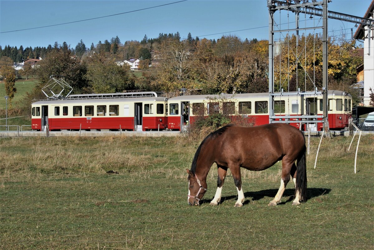 La Traction CJ Chemins de fer du Jura: CFe 4/4 601 + Ct4 702, Extrazug Pré-Petitjean-Tavannes, Pré-Petitjean, 23. Oktober 2021.