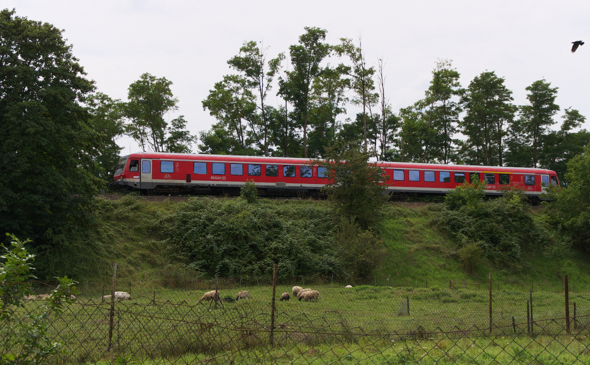 Ländliche Idylle - Aber das täuscht, denn der Niedtalexpress wird in einigen hundert Metern den Bahnhof von Dillingen/Saar erreichen. Dillingen hat runde 22.000 Einwohner und ist geprägt von der Stahlindustrie (Dillinger Hütte + Stahlbau Dillingen) und dem nahe gelegenen Automobilwerk von Ford. Die Eisenbahn kam 1858 nach Dillingen Saar.Bahnstrecke 3212 (F- Bouzonville) Grenze - Niedaltdorf - Dillingen. 06.08.2014