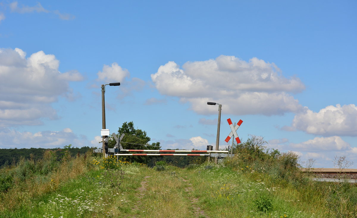 Ländliche Nebenbahn Idylle im Harz. Bei Börnecke in den Feldern befindet sich eine alte Anrufsschranke welche sich bis auf neue Andreaskreuze seit dem Mauerfall nicht verändert hat.

Börnecke 05.08.2017