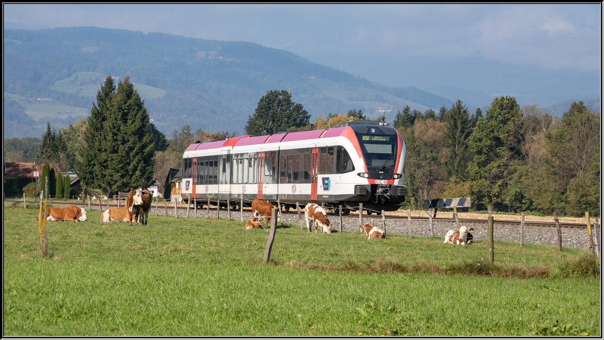 Ländliches Idyll gibt es bei uns zu Lande noch genug zu finden ,... 
Hier bei St.Peter geht's für die Fahrgäste der GKB vorbei an Koberl´s Kuh Weide. 
11.10.2019