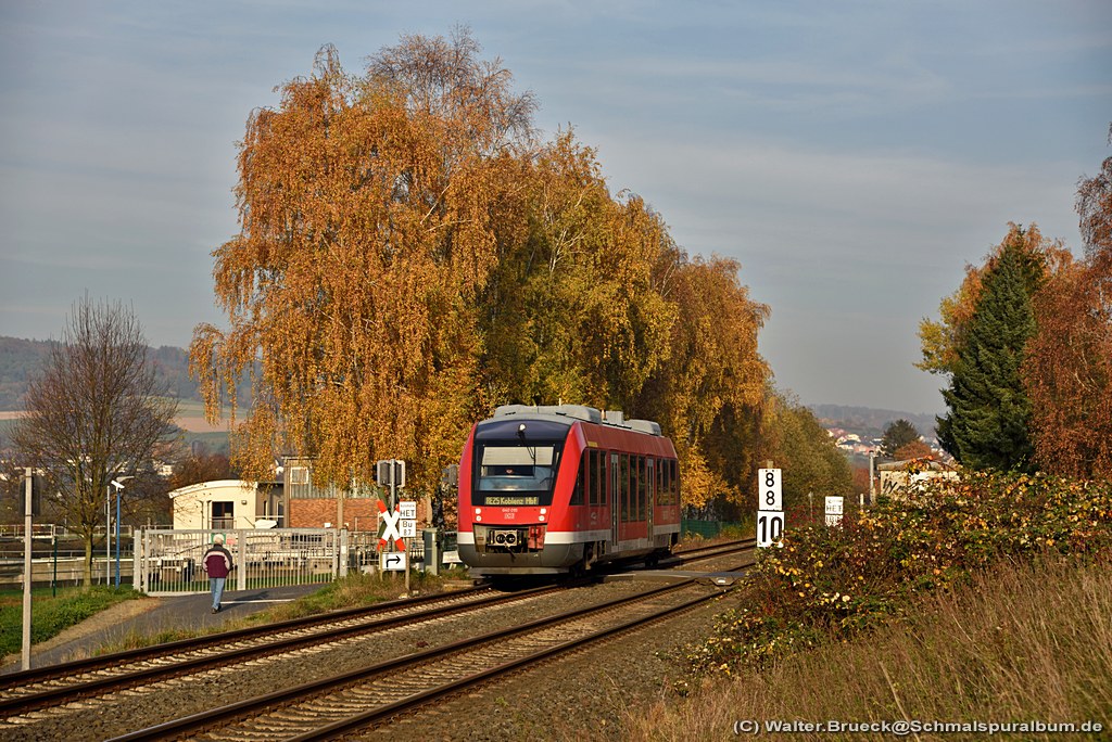 Lahntalbahn Herbst am 03.11.2015, hier bei Burgsolms.