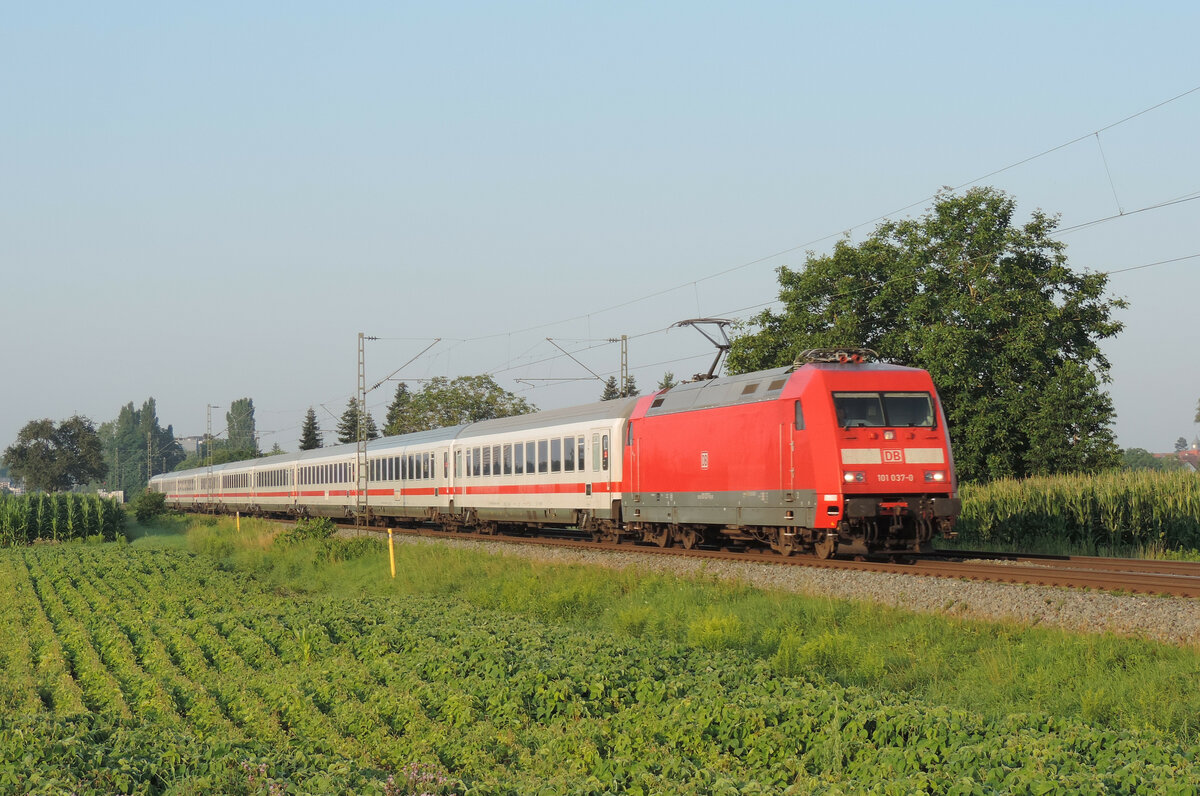 Lahr/Schwarzwald - 23. Juli 2021 : 101 037 mit dem IC 267 Baden Kurier von Basel nach München.