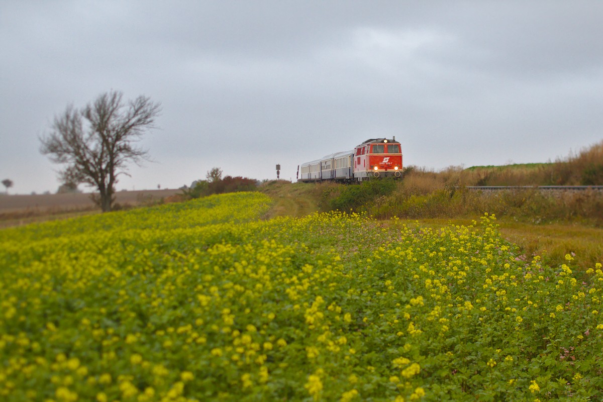 Landesbahnzug unterwegs ins Biedermaiertal. Entstanden ist die Aufnahme kurz bevor die 2143.070 mit ihrem Zug den Mollmannsdorferberg hinab fährt. (09.10.2016)