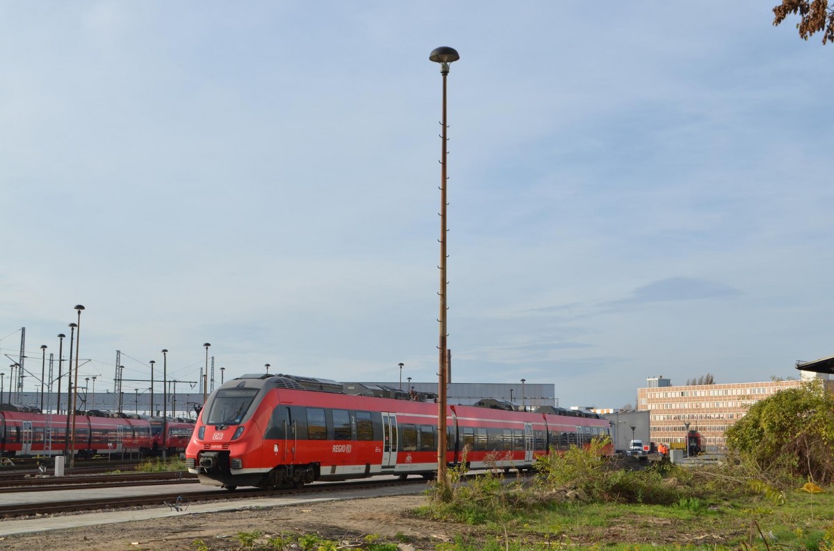 Landplage Hamsterbacken, 442 628 in Berlin Lichtenberg 03.11.2014