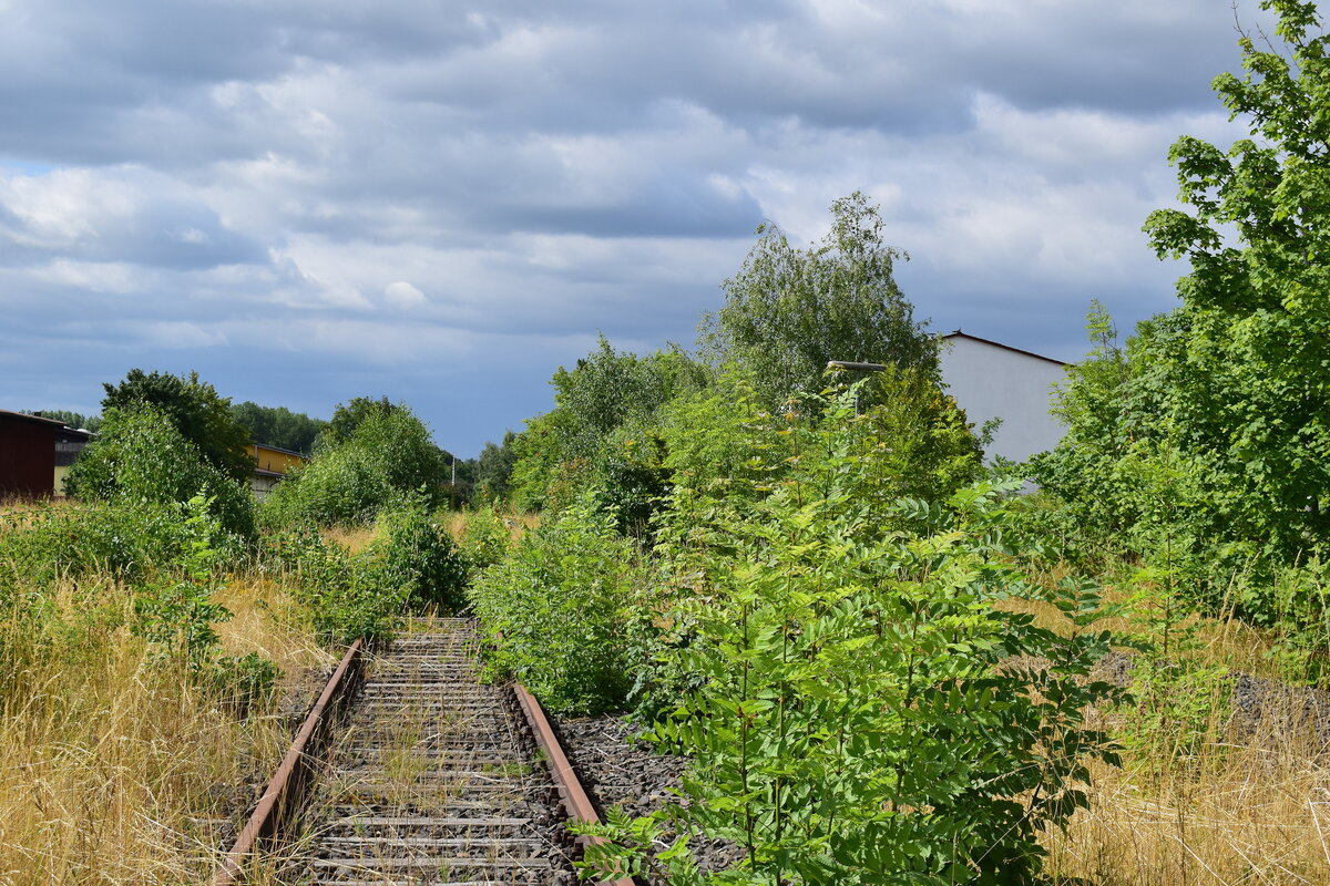 Lang ist es hier das in Lüchow ein Zug gefahren ist. Seit gut 20 Jahren fuhr hier kein Zug mehr. Ursprünglich sollten 2020 bzw 2021 wieder Züge bis Wustrow fahren allerdings wurde dies durch sanierungsbedürftige Brücken verhindert.

Lüchow 31.07.2021
