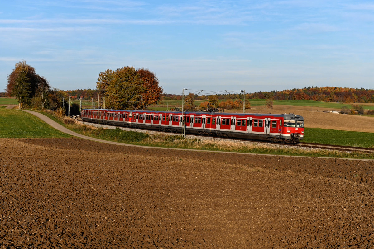 Lange prägte der ET 420 den Betrieb auf dem Münchener S-Bahn Netz. Nach dem Abschied aus Bayern um die Jahrtausendwende sind nun wieder einige Züge aus der letzten Bauserie im Einsatz, um den gestiegenen Fahrzeugbedarf zu decken. Auf der Linie S 4 werden zumeist mehrere Kurse von diesem Bundesbahnklassiker bedient. So auch am 31. Oktober 2020, als ich den 420 439 vor einer weiteren Garnitur als Vollzug nach Geltendorf fotografieren konnte. Entstanden ist das herbstliche Bild bei Kottgeisering.   
