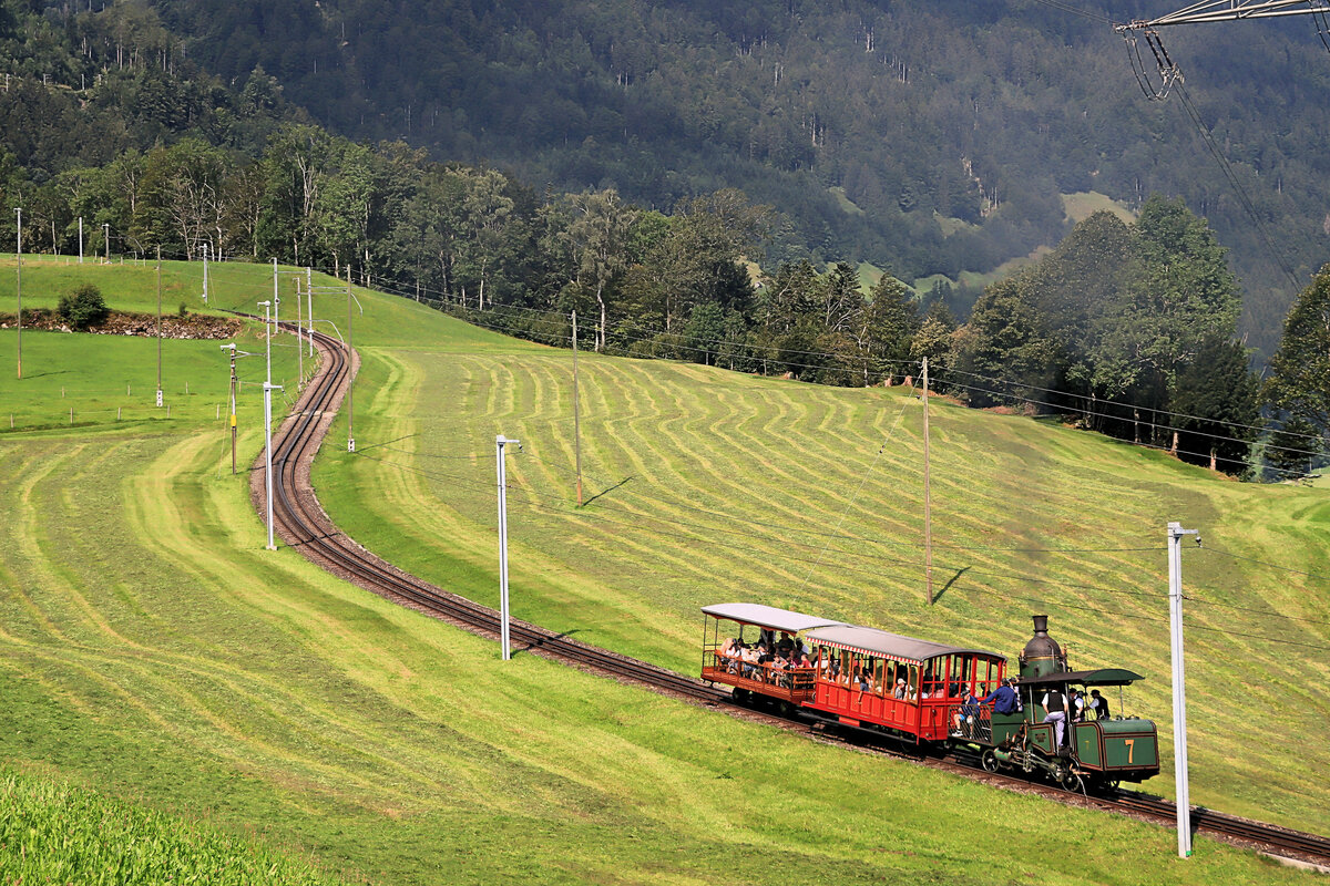 Langsam kämpft sich der Dampfzug mit Stehboilerlok 7 nach Kräbel hinauf, Seite Arth Goldau. 21.August 2021 
