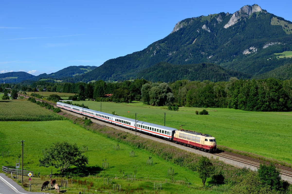 Langsam neigten sich zum Aufnahmezeitpunkt die Sommerferien dem Ende entgegen und damit auch die Einsätze der 103 113 vor den saisonal nach Tirol verkehrenden InterCities. Am 13. August 2016 wurde die bekannte Fotostelle bei Kirnstein im Inntal aufgesucht und der IC 1281 auf seiner Fahrt nach Schwarzach-St. Veit abgelichtet. Die 103 bleibt bis Wörgl vor dem Zug und übernachtet dann in der dortigen Zugförderung. Die Pferde im Vordergrund zeigten sich allerdings vollkommen unbeeindruckt von der Vorbeifahrt der klassischen Schnellzuglok.