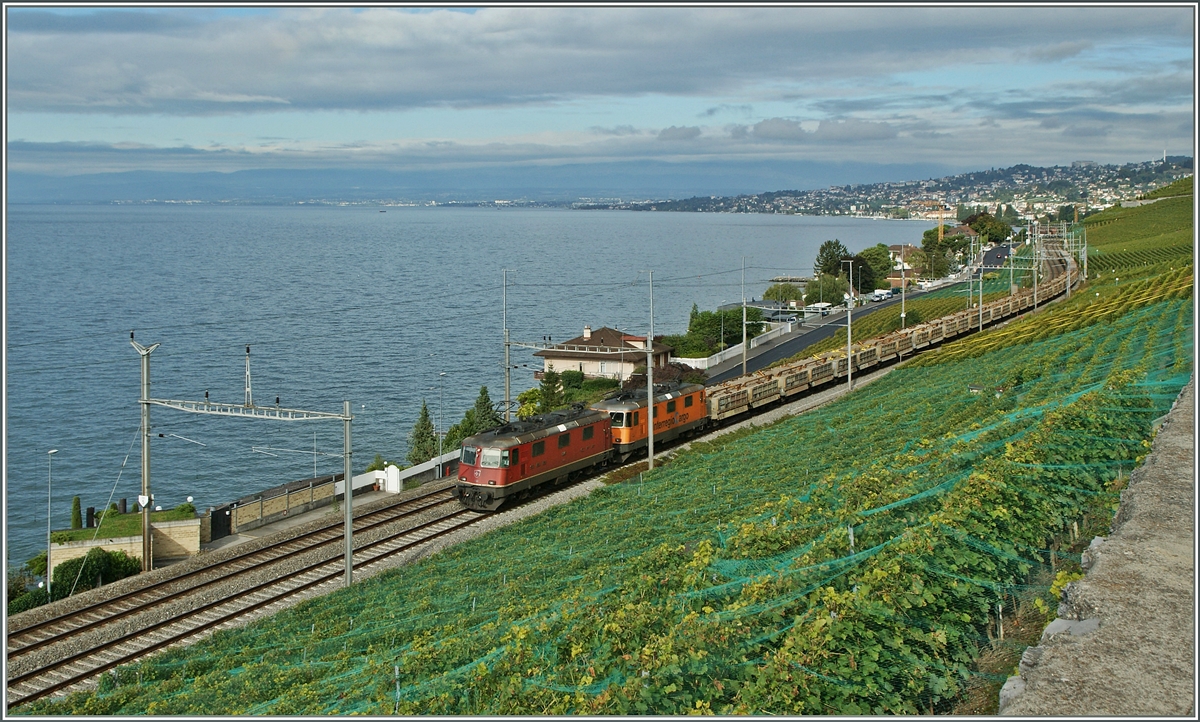 Leider verkehrt rum waren diese beide Re 4/4 II gereiht, als sie mit ihrem Gterzug von Lausanne Richtung Vevey fuhren und ich sie bei Cully fotografieren konnte.
20. Sept. 2013