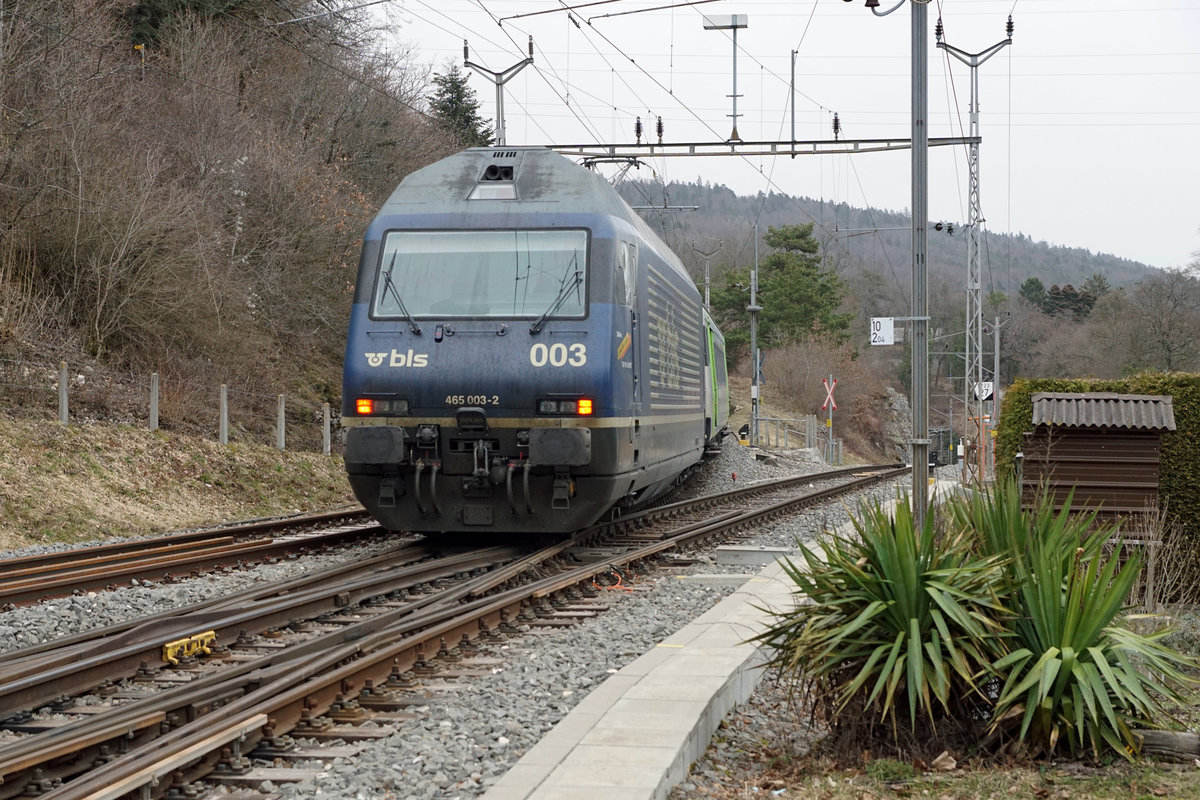 Letzte Fahrten der BLS EW lll Pendel zwischen Neuchâtel und La Chaux-de-Fonds.
Am 28. Februar 2021 stehen die beliebten BLS EW llI Pendel, ehemals SBB SWISS EXPRESS, zum letzten Mal im Einsatz auf der Bergstrecke im Neuenburger-Jura, da ab dem 1. März 2021 bis zum 31. Oktober 2021 zwischen Neuchâtel und La Chaux-de-Fonds Bauarbeiten ausgeführt werden. 
Ich nehme an, dass bis zu diesem Zeitpunkt die alten Wagen ausrangiert werden können und alle die noch blauen Re 465 den neuen grünen Anstrich erhalten haben. Nach dem Refit sind die 465 mit den EW lll nicht mehr kompatibel.
Meine letzten Aufnahmen vom 26. Februar 2021  eines ausfahrenden Zuges aus dem Kopfbahnhof Chambrelien mit der Re 465 003-2 und dem Bt 995.
Wegen dem kurzen Aufenthalt sowie der Spitzkehre fahren bei diesen langen Züge Lokführer auf der Lok und dem Bt mit.
Fotosandort: Grüne Wiese. Bildausschnitt: Fotoshop. 
Foto: Walter Ruetsch 