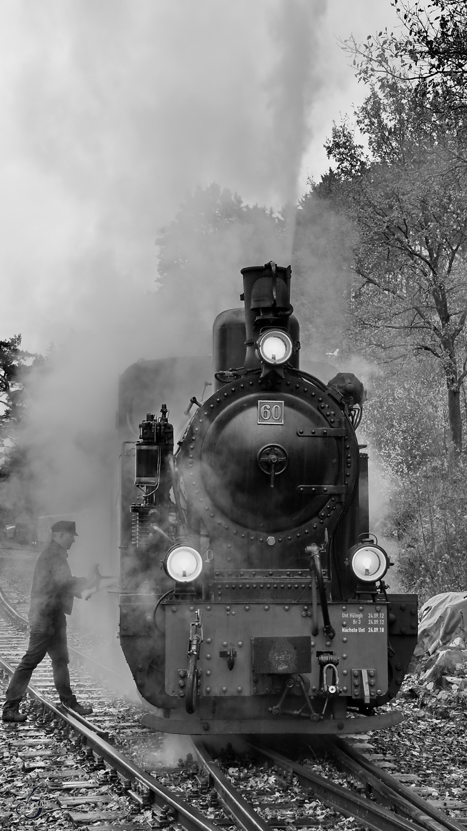 Letzte Hand wird an die Lok 60  Bieberlies  angelegt, bevor die nächste Fahrt beginnt. (Hüinghausen, November 2018)