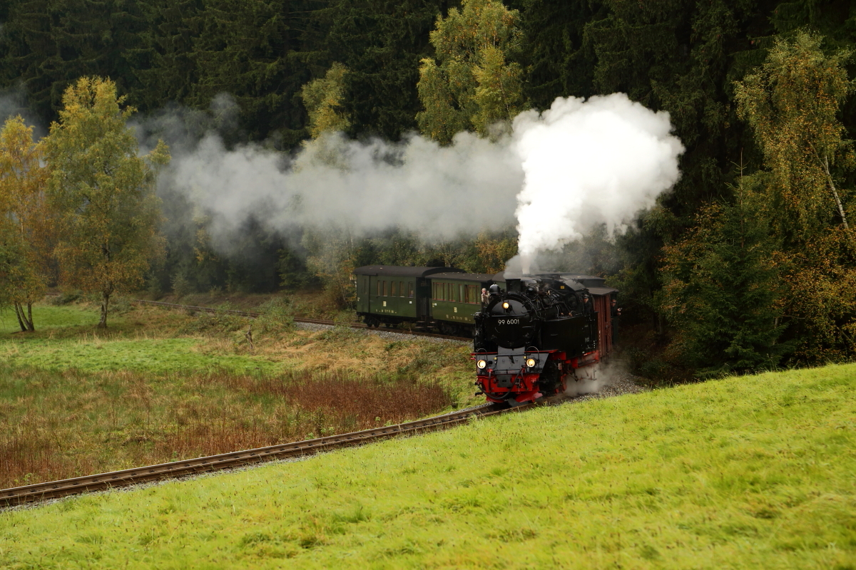 Letzte Scheinanfahrt von 99 6001 mit Sonderzug, im Rahmen einer dreitägigen Veranstaltung der IG HSB, am 18.10.2015, kurz vor dem Haltepunkt Sternhaus-Haferfeld. (Bild 3)