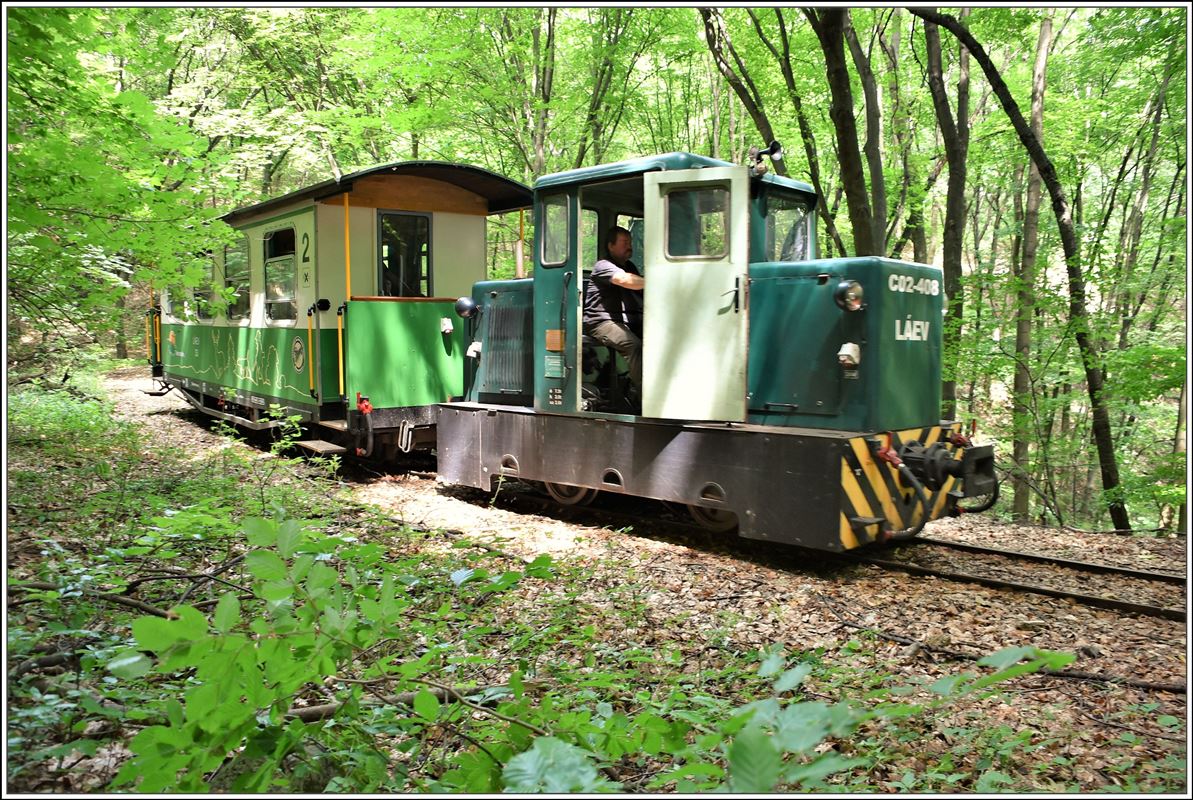 Lillafüredi Állami Erdei Vasút (LÁEV). C50 C02-408 und Salonwagen 33 auf der Fahrt von Mahoca zurück nach Papírgyár. (13.06.2018)