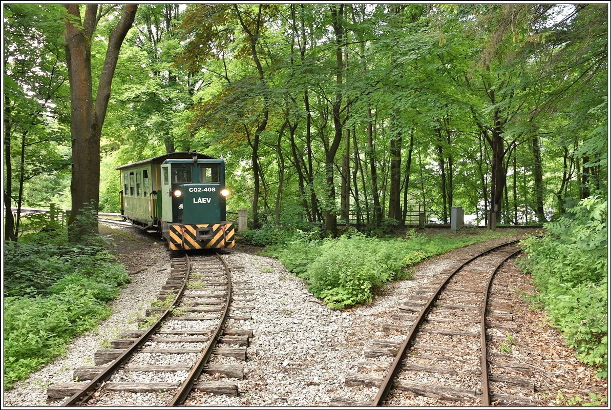 Lillafüredi Állami Erdei Vasút (LÁEV). Im Gleisdreieck von Lillafüred lässt der Extrazug mit der C02-408 den Regelzug nach Garadna passieren. (13.06.2018)