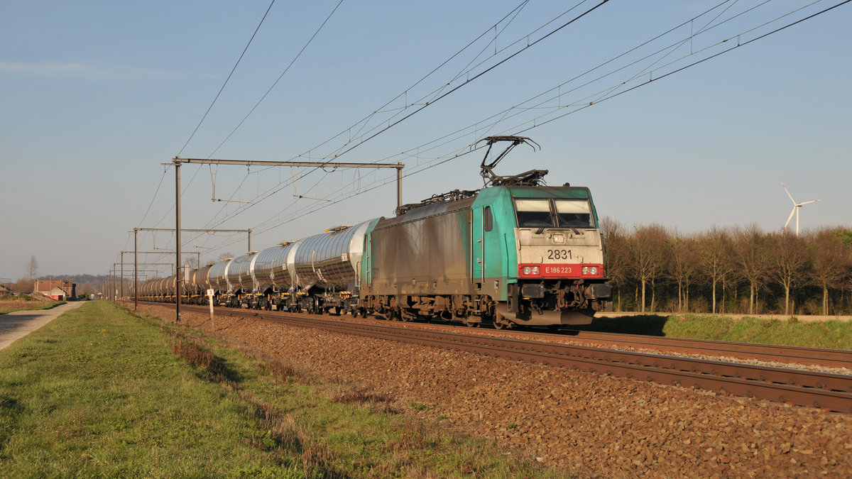Lineas 186 223 alias 2831 mit einem Kesselzug am Spätnachmittag des 22/03/2019 kurz vor Tongeren in Richtung Aachen-West.
