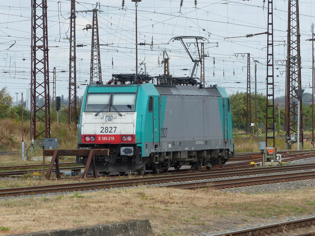 LINEAS E186 219 am 25.08.2018 in Großkorbetha.