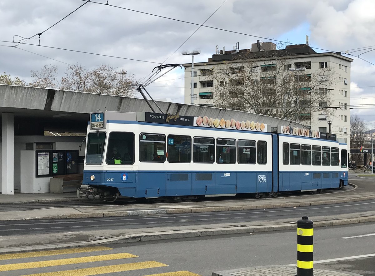Linie 14 Wagennummer 2037 „Oberstrass“ an der Endhaltestelle Triemli. Datum: 20. 11. 2020