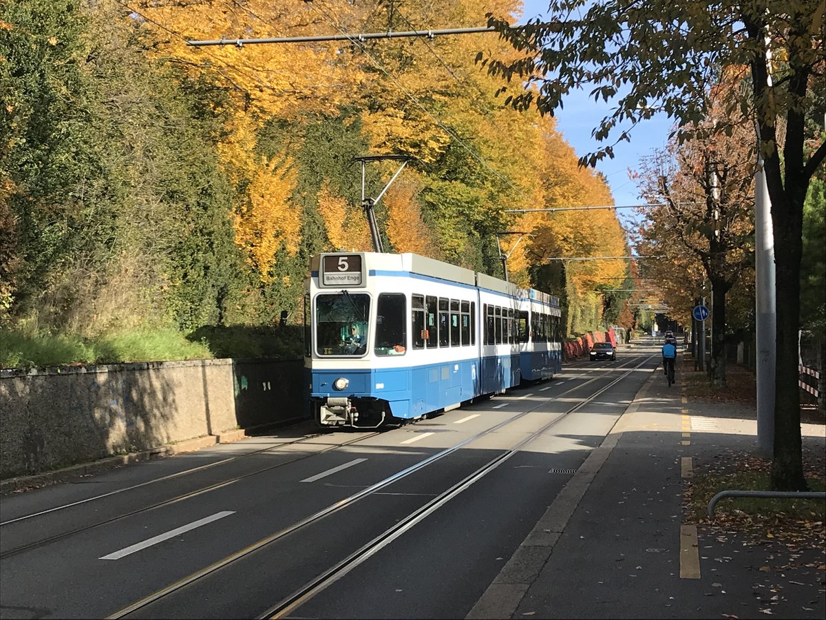 Linie 5 Nr. 2019 in der Krähbühlstrasse kurz vor der Haltestelle Toblerplatz. Datum: 25. 10. 2020