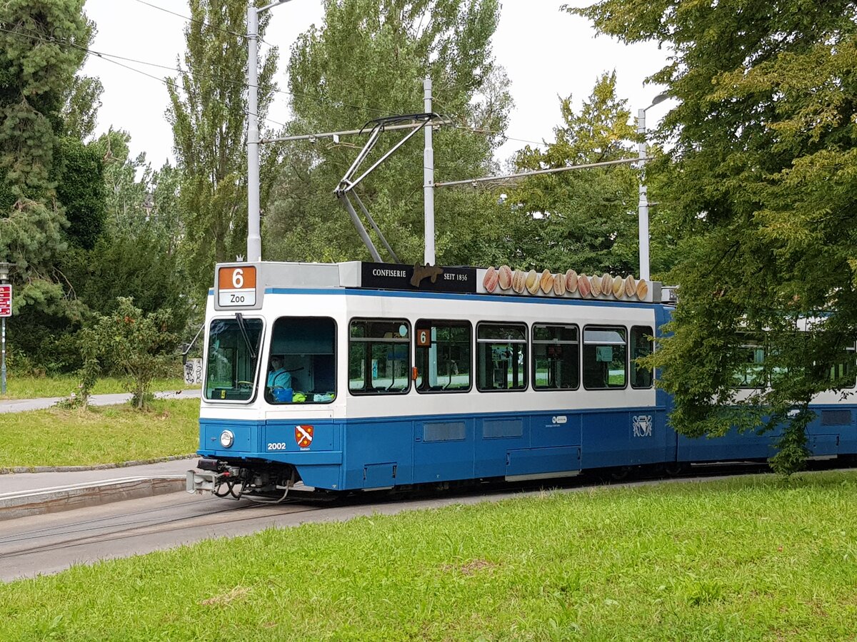 Linie 6 Wagennummer 2002  Seebach  in der Wendeschleife Hardturm. Datum: 26. 8. 2021