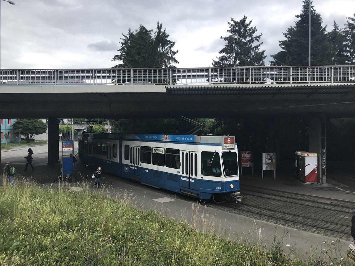 Linie 6 Wagennummer 2019 an der Haltestelle Tüffenwies in Richtung Werdhölzli. Datum: 5. 6. 2020