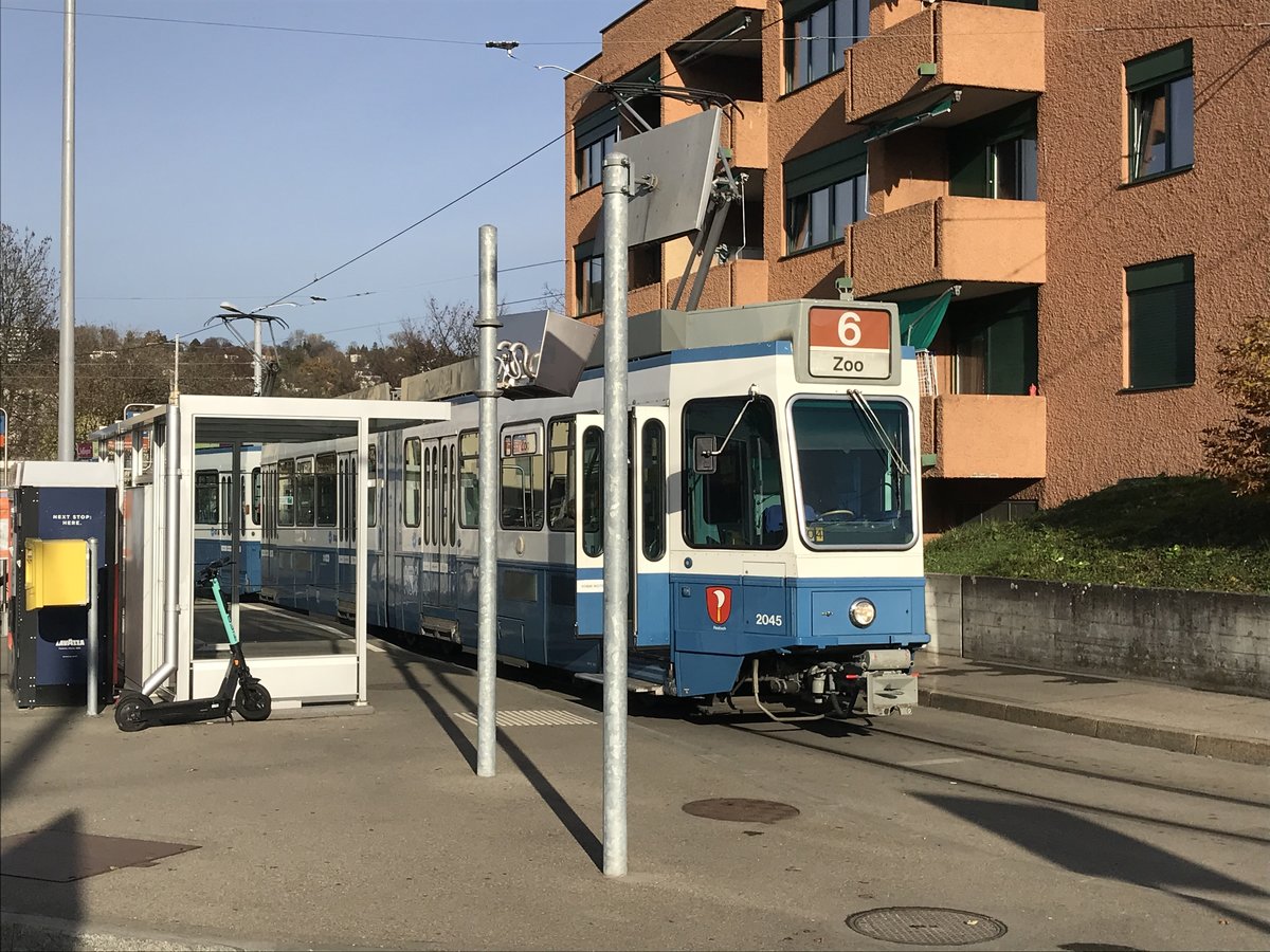 Linie 6 Wagennummer 2045  Riesbach  an der Endhaltestelle Werdhölzli. Datum: 17. 11. 2020