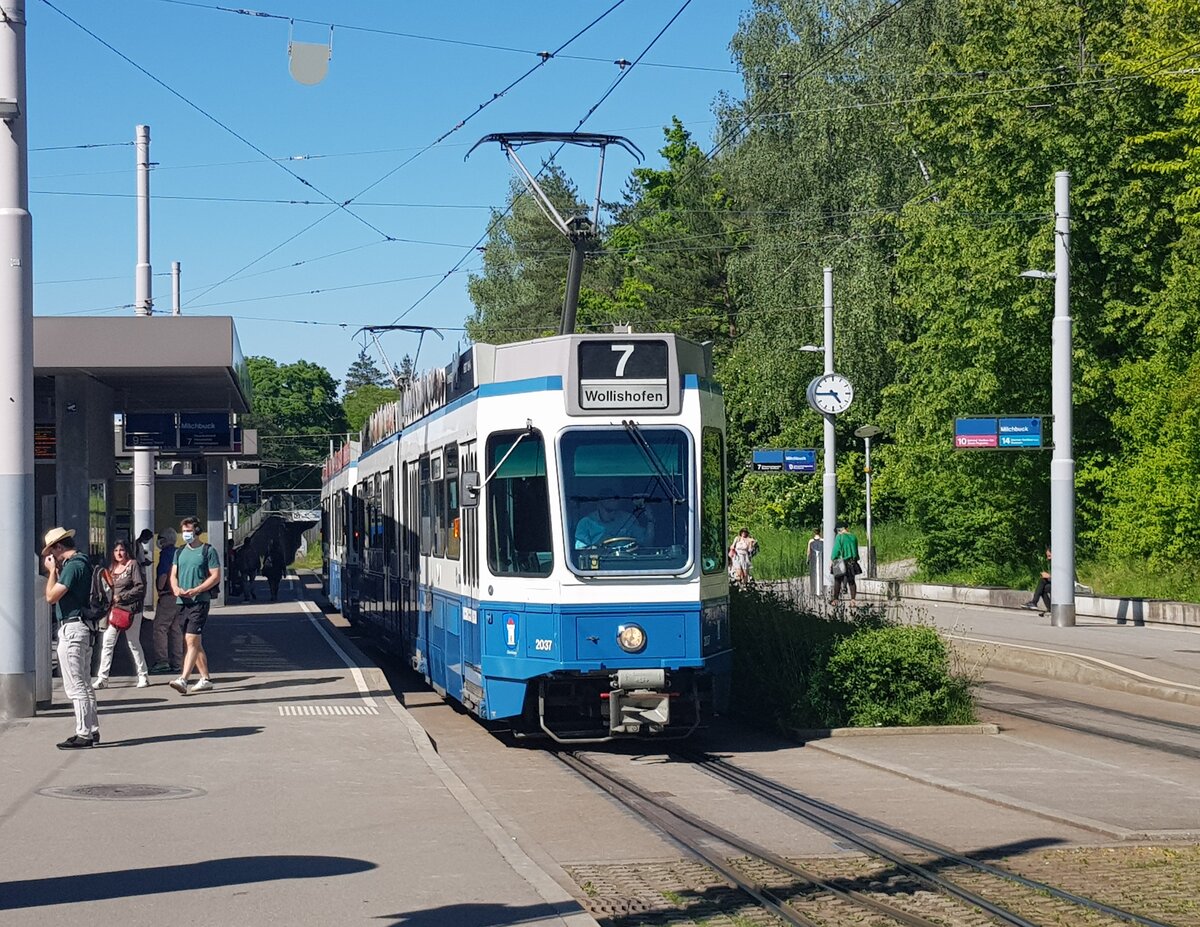 Linie 7 Wagennummer 2037  Oberstrass  beim Milchbuck. Datum: 22. 5. 2021
