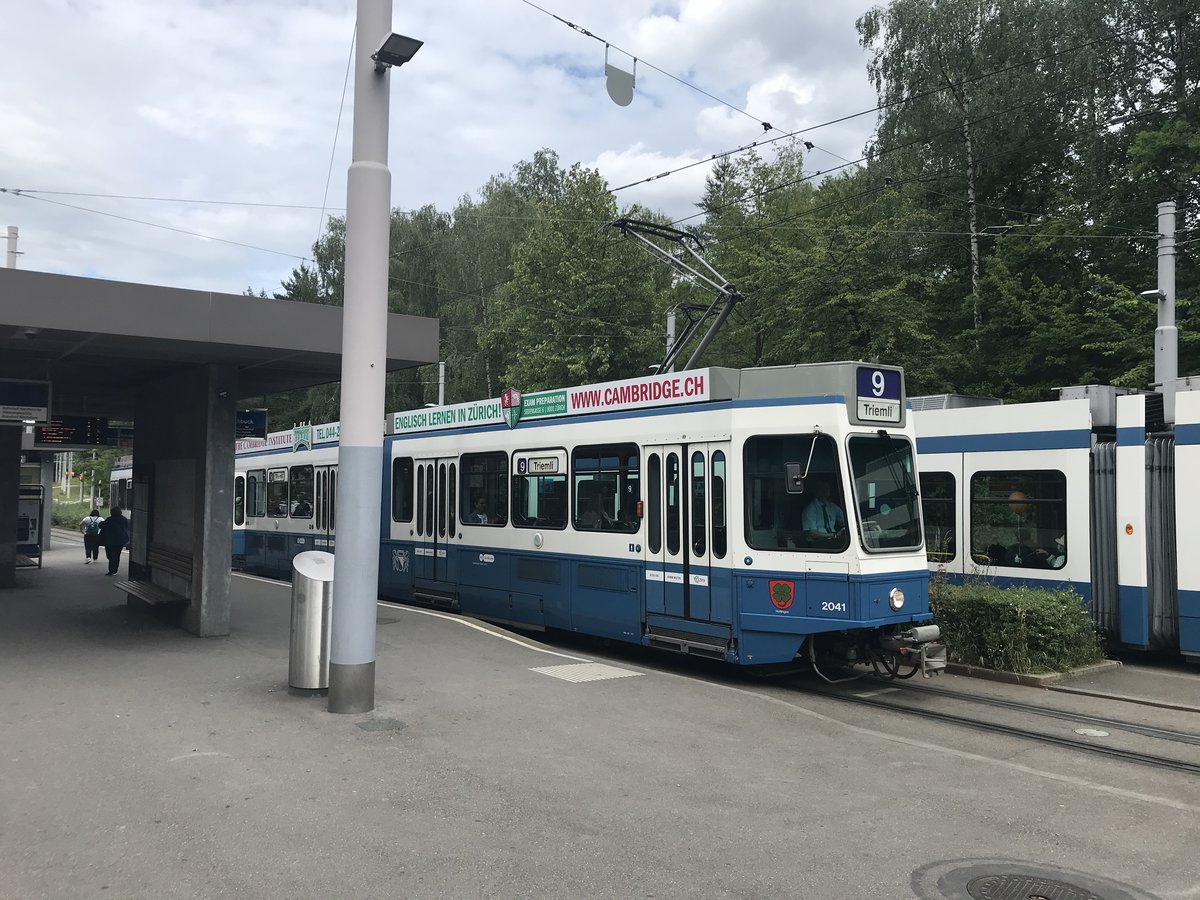 Linie 9 Wagennummer 2041  Hottingen  am Milchbuck. Datum: 8. 6. 2020