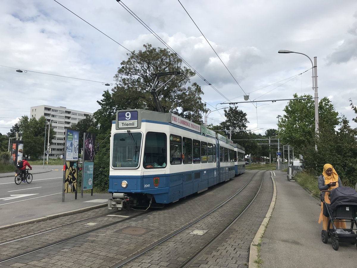Linie 9 Wagennummer 2041  Hottingen  an der Haltestelle Luchswiesen. Datum: 8. 6. 2020