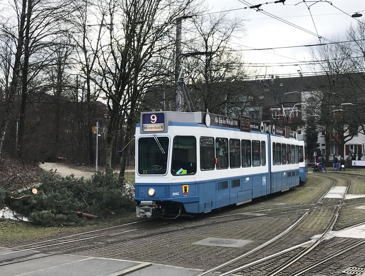 Linie 9 Wagennummer 2042 „Altstetten“ beim Milchbuck. Datum: 25. 1. 2021