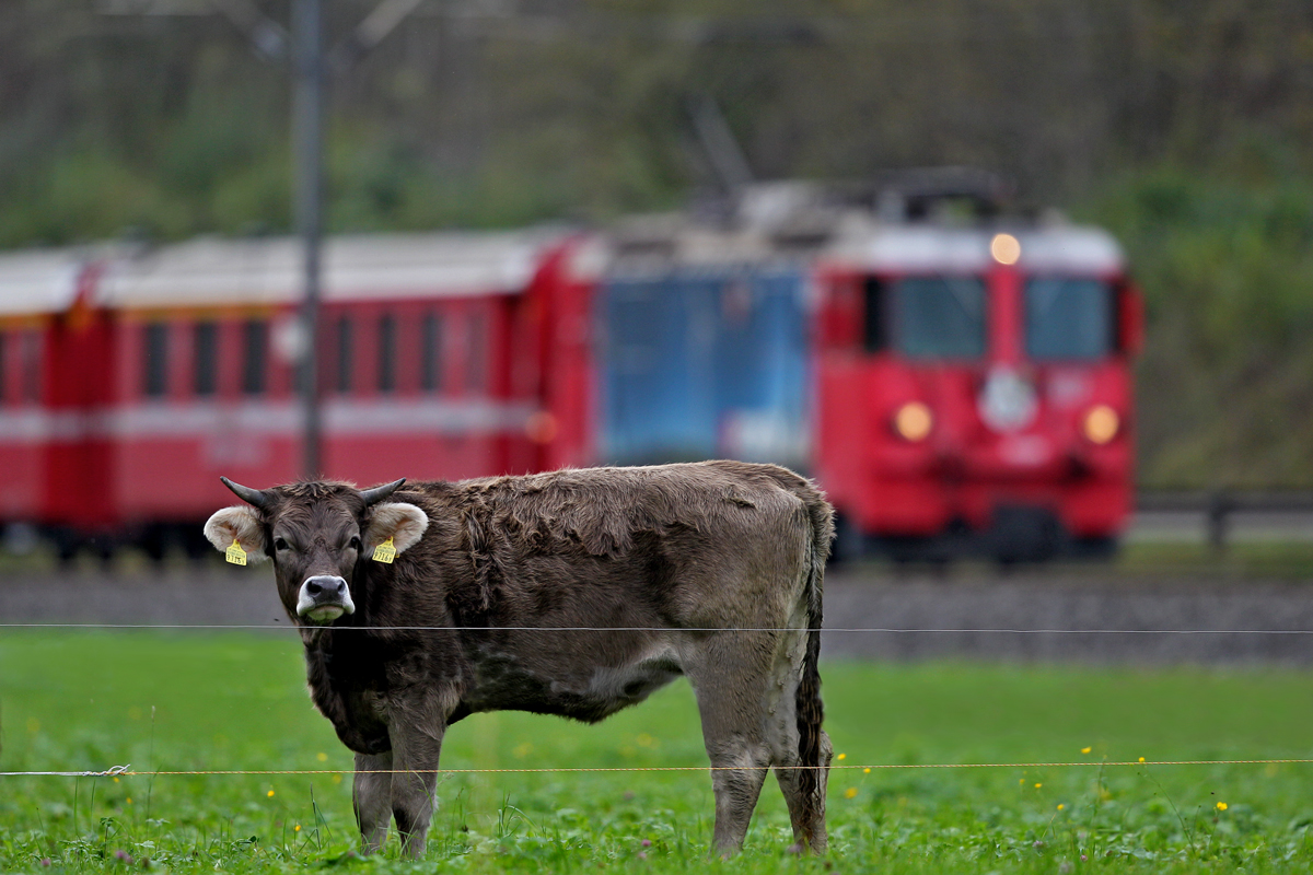 Linsenputzer Nr. 97163 steht gemütlich in Position vor der Rhb Lok Ge 4/4 II 617  Ilanz  die einen RE nach Davos führt bei Schiers.Bild vom 20.10.2014