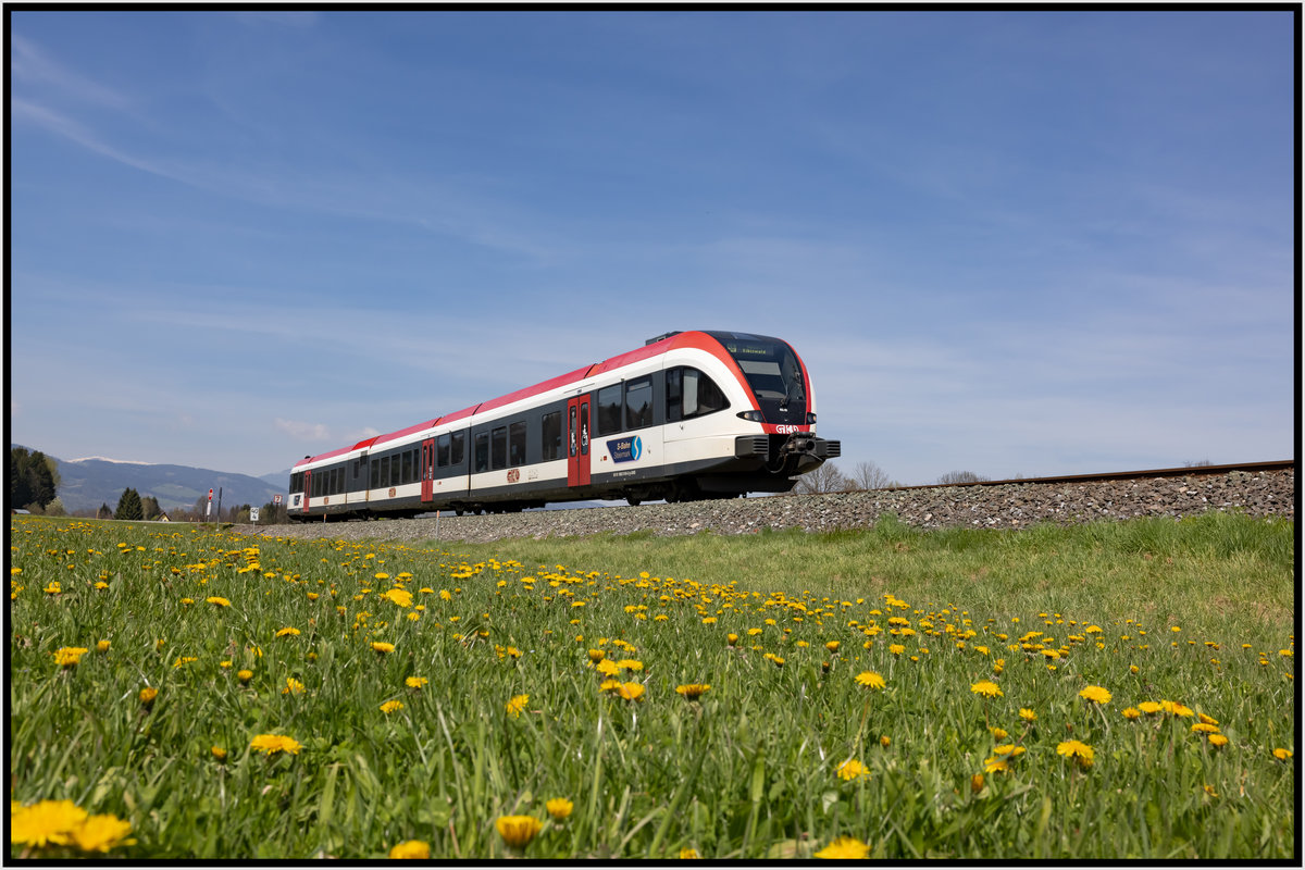 Löwenzahn ,...

Freidorf im Sulmtal , 24.04.2021