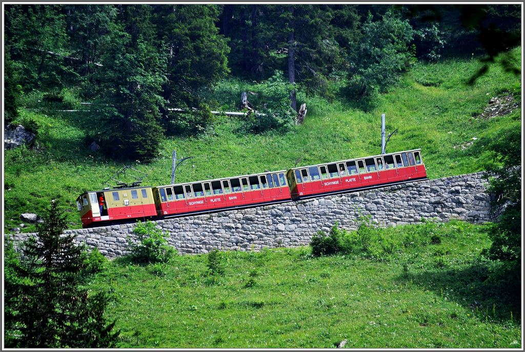 Lok 11 kmpft sich den Berg hoch und der Lokfhrer geniesst den Blick auf den Brienzersee. (06.07.2013)