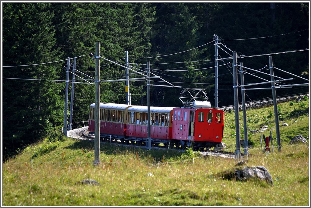 Lok 13 auf der Chrterwang oberhalb von Breitlauenen. Und dass mir kein Admin was von erkennbar schief schreibt, die Stangen sind so krumm. (06.07.2013)