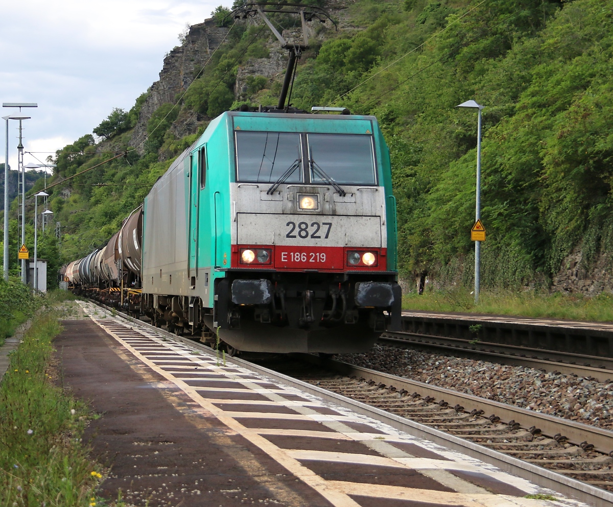 Lok 2827 (186 219) mit Kesselwagenzug in Fahrtrichtung Süden. Aufgenommen in Lorchhausen am Rhein am 13.07.2014.