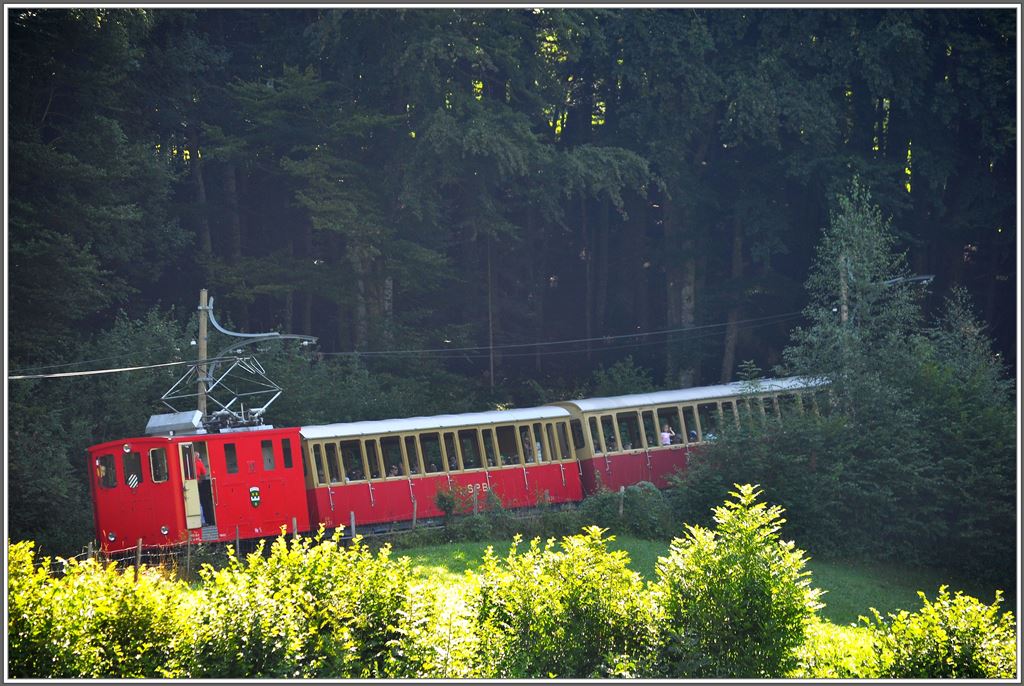 Lok 3 oberhalb von Wilderswil. (06.07.2013)