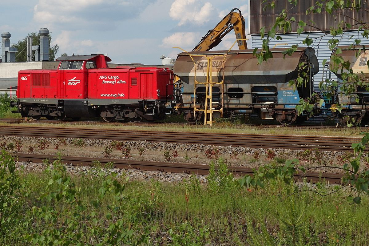 Lok 465 der AVG (9280 1 213 340-3 D-AVG) zusammen mit Wagen der Gattung Tdns des slowakischen Unternehmens DUSLO abgestellt in Biberach (Ri) am 07.06.2016.