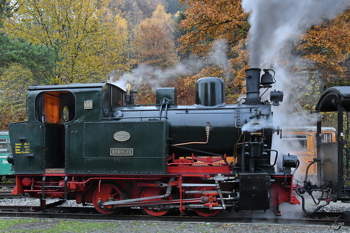 Lok 60  Bieberlies  an einem useligen Novembersonntag im Jahr 2018 am Bahnhof Hüinghausen.
