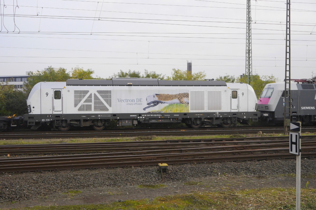 Lok 9 des Siemens Prüfcenters Wildenrath, eine Diesel-Vectron mit der NVR-Nr. 92 80 1 247 901-2 D-PCW, in Mönchengladbach Hbf am 30.10.15.