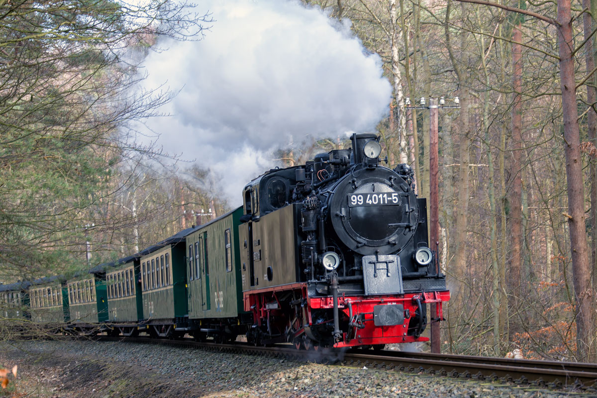 Lok 99 4011 mit dem Rasenden Roland zwischen Göhren und Baabe. - 23.03.2019