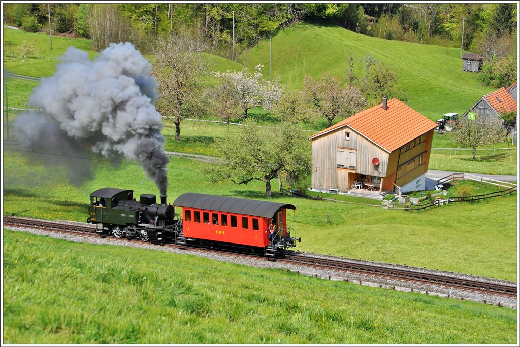 Lok Rosa zwischen Schwendi und Heiden. (28.04.2016)