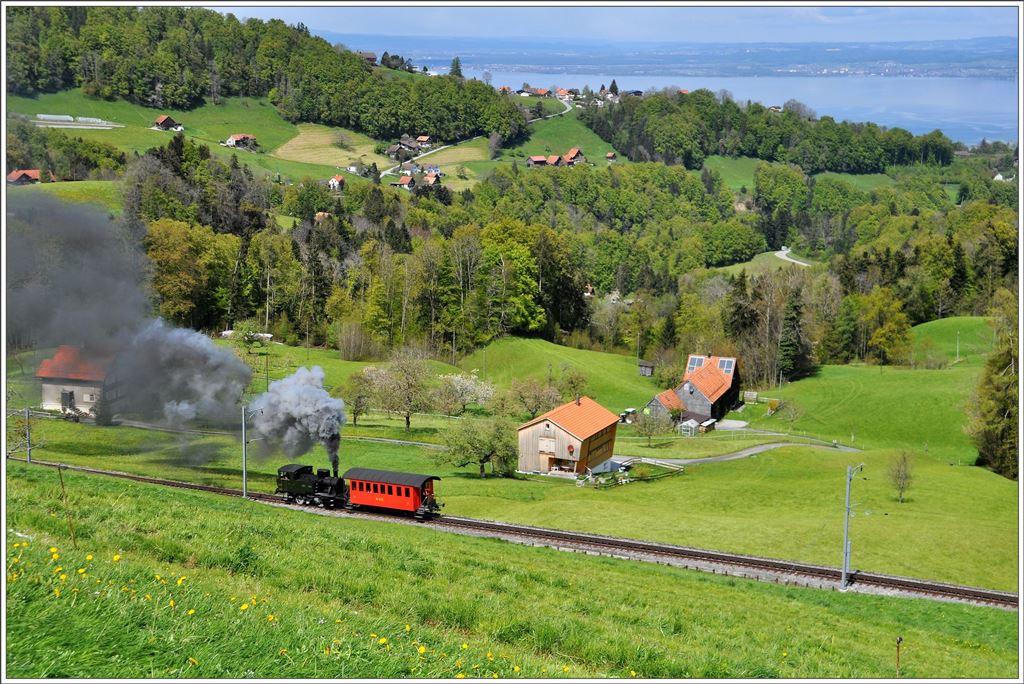 Lok Rosa zwischen Schwendi und Heiden mit Blick über den Bodensee. (28.04.2016)