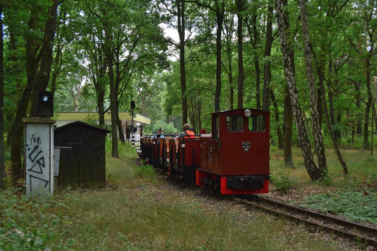 Lok Siegfried hat soeben den Haltepunkt Eichgestell verlassen und fährt nun Richtung Wuhlheide.

Berlin 24.07.2018