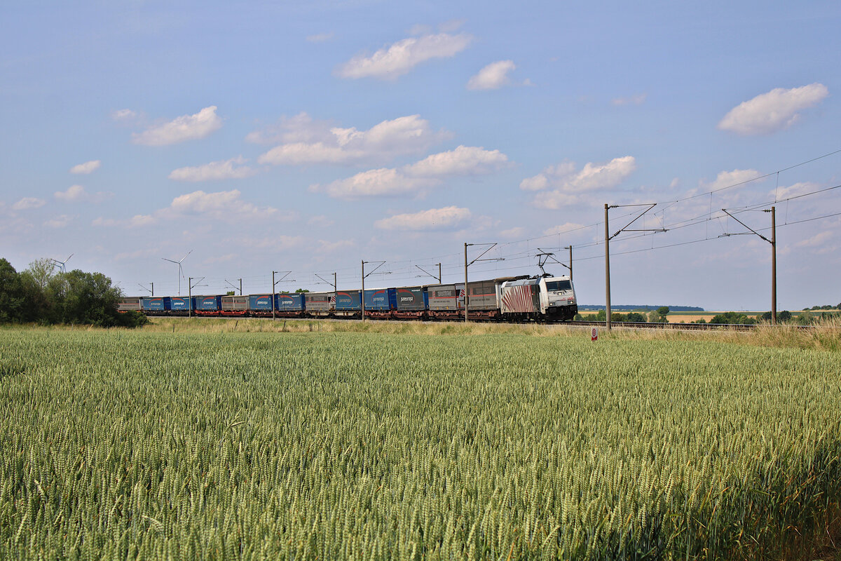Lokomotion 185 666 fährt mit dem paneuropa-Zug bei Uffenheim in Richtung Ansbach. (20.06.2023)