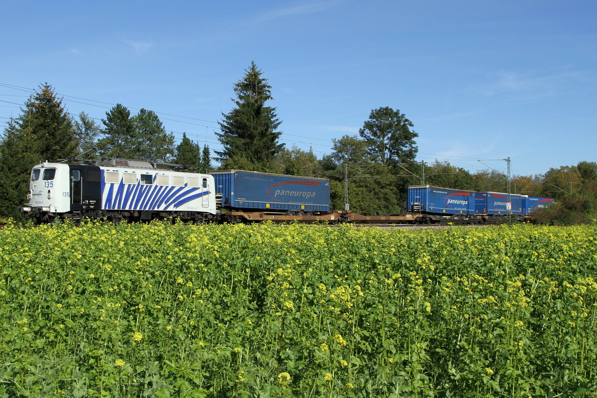 Lokomotion am 26.09.18 in Eglharting mit schönem Rapsfeld im Vordergrund.