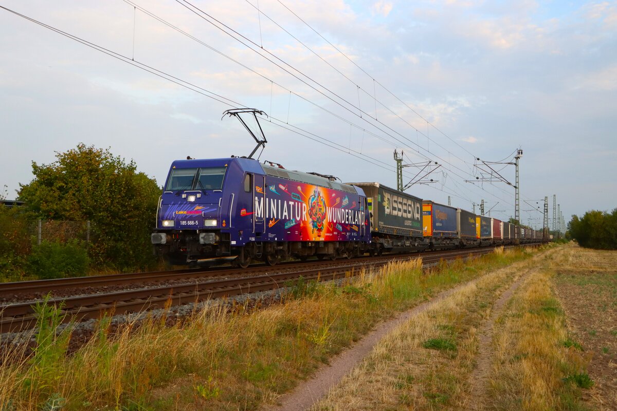 Lokomotion Bombardier Traxx 185 666-5 mit KLV Zug in Dettingen am 04.08.26
